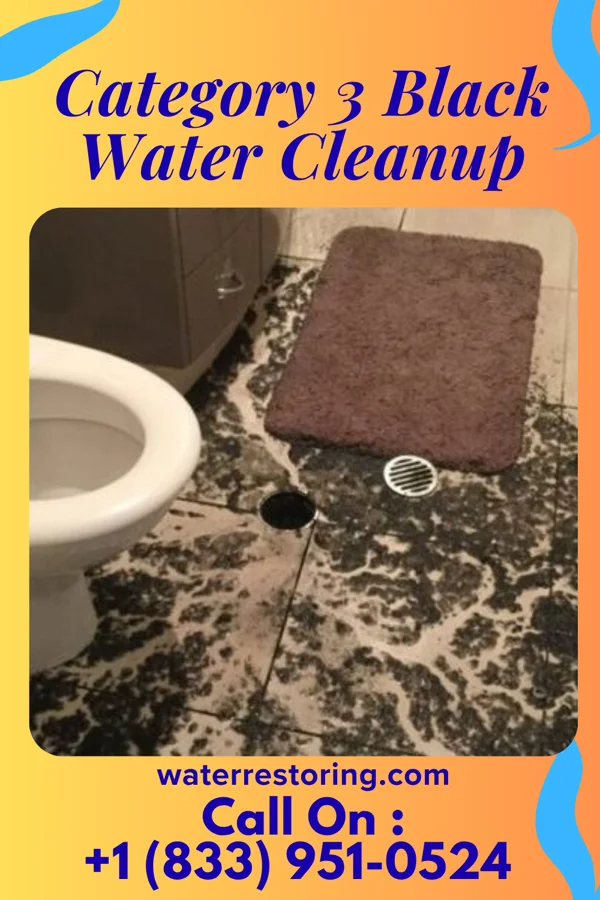 Category 3 Black Water Cleanup in La Escondida, TX