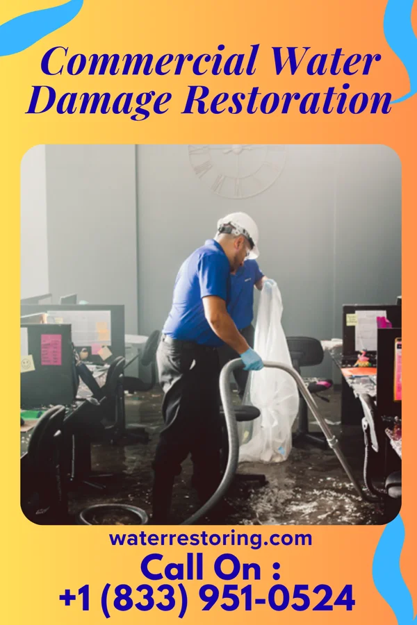 Commercial Water Damage Restoration in La Escondida, TX