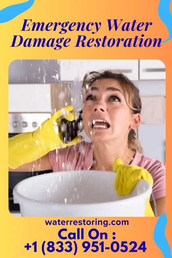 Emergency Water Damage Restoration in La Escondida, TX